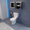 LECICO ALTAS Toilet Suite - Front Flush
