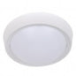 Radiant JE52 LED Ceiling  light - 60W